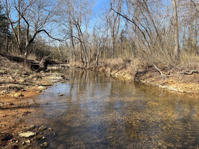 Ozark County Retreat with Live Water, Hunting Cabin & Views - image 9