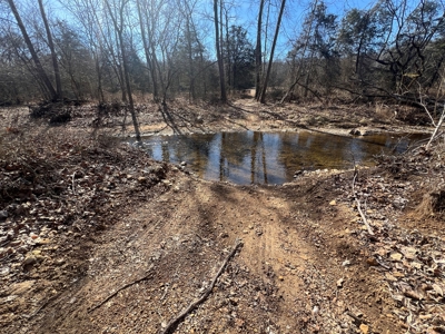 Ozark County Retreat with Live Water, Hunting Cabin & Views - image 15