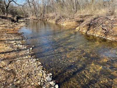 Ozark County Retreat with Live Water, Hunting Cabin & Views - image 4