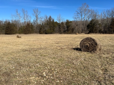 Ozark County Retreat with Live Water, Hunting Cabin & Views - image 17