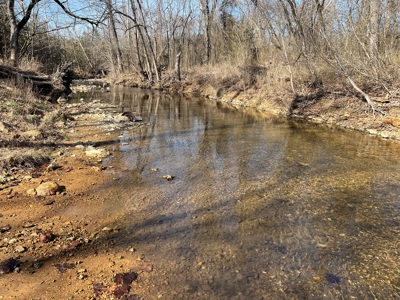 Ozark County Retreat with Live Water, Hunting Cabin & Views - image 6