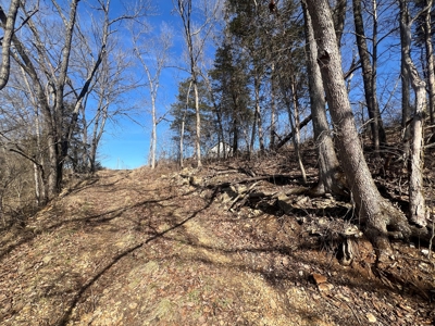 Ozark County Retreat with Live Water, Hunting Cabin & Views - image 14