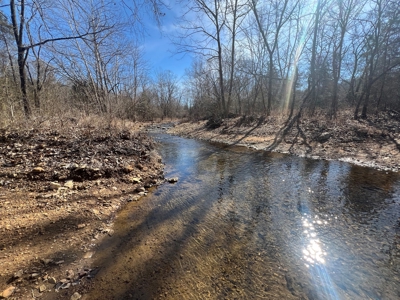 Ozark County Retreat with Live Water, Hunting Cabin & Views - image 1