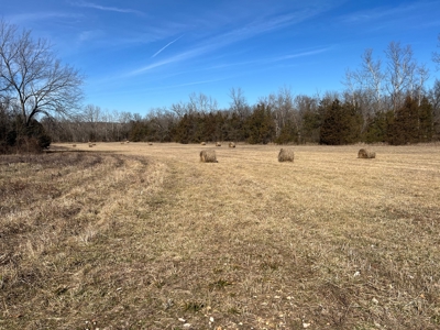 Ozark County Retreat with Live Water, Hunting Cabin & Views - image 10