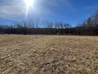 Ozark County Retreat with Live Water, Hunting Cabin & Views - image 12
