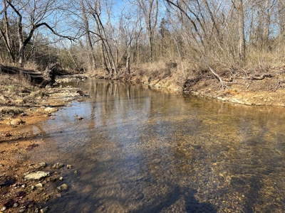 Ozark County Retreat with Live Water, Hunting Cabin & Views - image 8