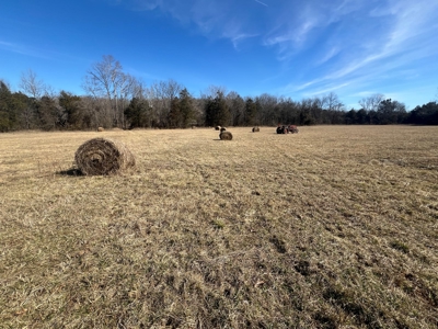 Ozark County Retreat with Live Water, Hunting Cabin & Views - image 18