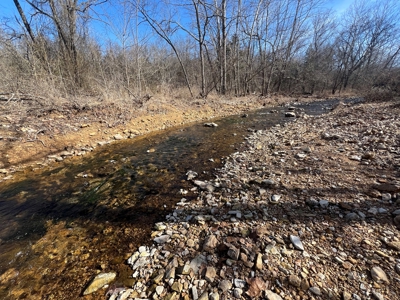 Ozark County Retreat with Live Water, Hunting Cabin & Views - image 16