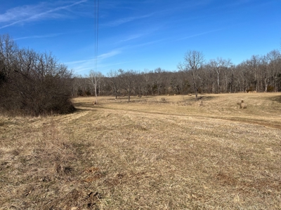 Ozark County Retreat with Live Water, Hunting Cabin & Views - image 11