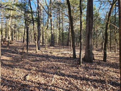 Sardis Lake - 10 Acres - image 18