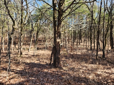 Sardis Lake - 10 Acres - image 16