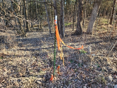 Sardis Lake - 10 Acres - image 22