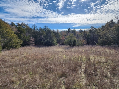 Sardis Lake - 10 Acres - image 14