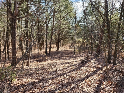Sardis Lake - 10 Acres - image 15