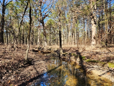 Sardis Lake - 10 Acres - image 17
