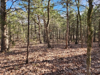 Sardis Lake - 10 Acres - image 13