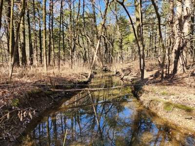 Sardis Lake - 10 Acres - image 3