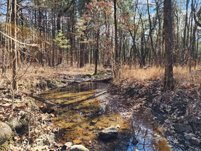 Sardis Lake - 10 Acres - image 5