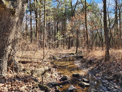 Sardis Lake - 10 Acres - image 9