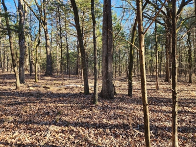 Sardis Lake - 10 Acres - image 19
