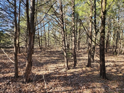 Sardis Lake - 10 Acres - image 10