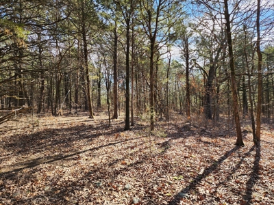 Sardis Lake - 10 Acres - image 4