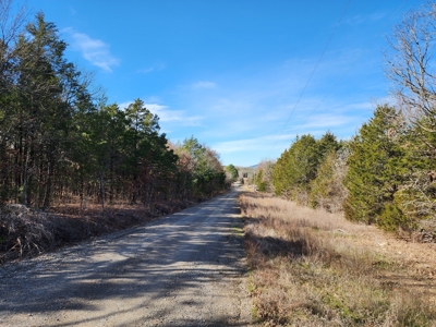 Sardis Lake - 10 Acres - image 2