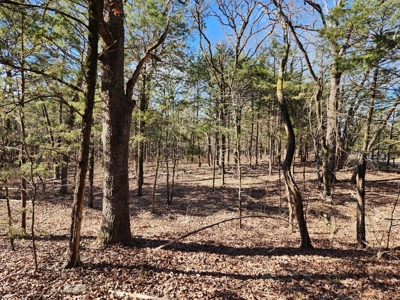 Sardis Lake - 10 Acres - image 6