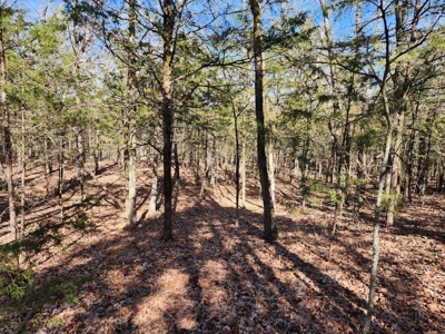 Sardis Lake - 10 Acres - image 12