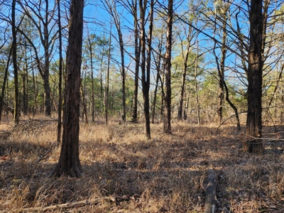 Sardis Lake - 10 Acres - image 20