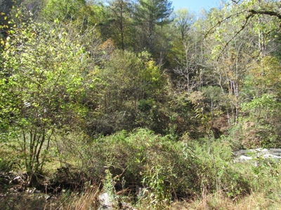 Land for Sale in Bristol VA - image 5