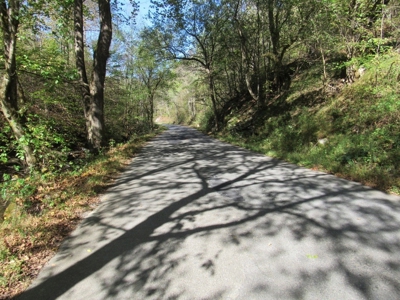 Land for Sale in Bristol VA - image 17