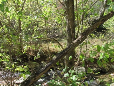 Land for Sale in Bristol VA - image 21
