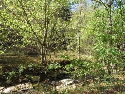 Land for Sale in Bristol VA - image 2
