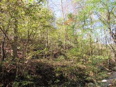 Land for Sale in Bristol VA - image 16