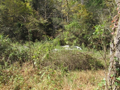 Land for Sale in Bristol VA - image 4