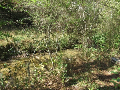 Land for Sale in Bristol VA - image 6