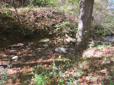 Land for Sale in Bristol VA - image 14