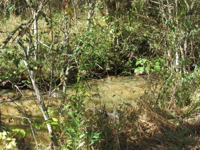 Land for Sale in Bristol VA - image 7