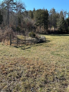 49.5 Acres for sale in Eidson Tennessee - image 43