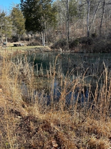 49.5 Acres for sale in Eidson Tennessee - image 9
