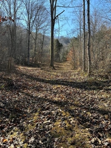 49.5 Acres for sale in Eidson Tennessee - image 36