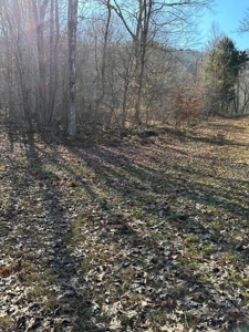 49.5 Acres for sale in Eidson Tennessee - image 40