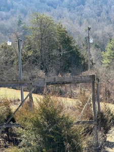 49.5 Acres for sale in Eidson Tennessee - image 3