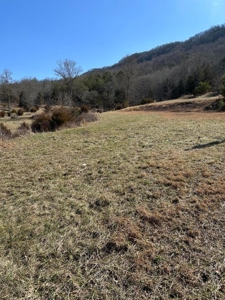 49.5 Acres for sale in Eidson Tennessee - image 17