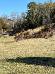 49.5 Acres for sale in Eidson Tennessee - image 6
