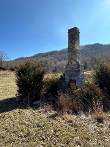 49.5 Acres for sale in Eidson Tennessee - image 1