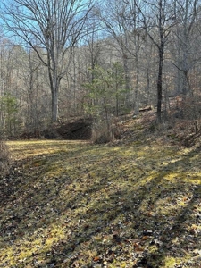 49.5 Acres for sale in Eidson Tennessee - image 38