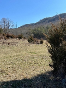 49.5 Acres for sale in Eidson Tennessee - image 4
