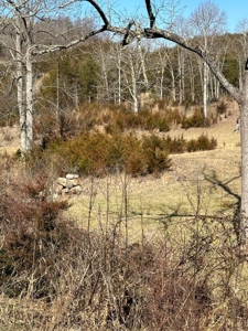 49.5 Acres for sale in Eidson Tennessee - image 10